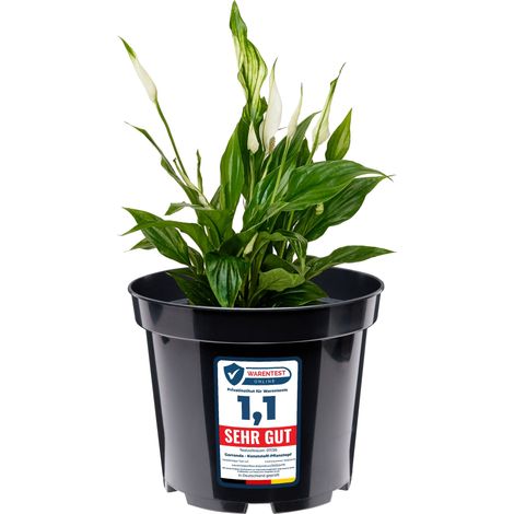 Garronda Pots Horticulture Ronds Pots pour Culture de Plants de Plantes et Fleurs GD-0025 (Noir, ⌀ 32,7cm H 26cm)