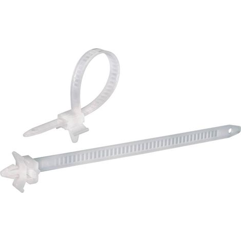 Serre-câble 150 mm x 7.90 mm naturel TRU COMPONENTS TC-PHV150203 1592899 crantage intérieur 100 pc(s) (1/3)