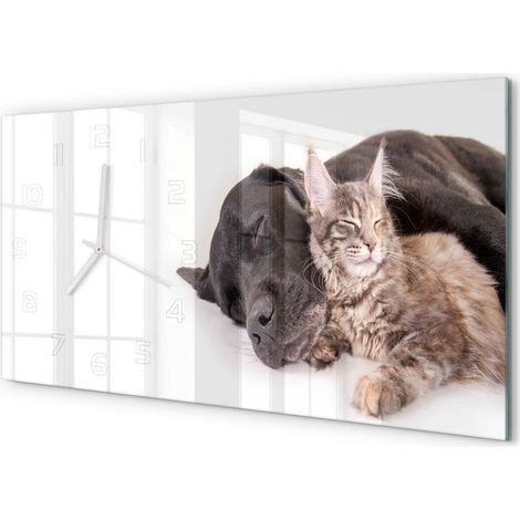 Horloge Murale Décorative 60x30 cm Format Horizontal Design Moderne Élégant Chien et chat (1/5)