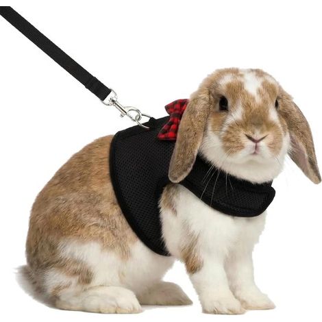 Arnés antitirones para gatos Bunny & Kitten - Estilo cárdigan - Negro - Talla S (1/4)