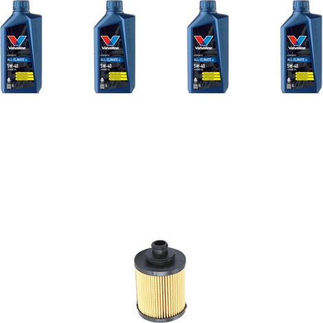 Kit filtro olio e 4L compatibile con Fiat Grande Punto 1.3 D Multijet 66kw dal 2005 (1/3)