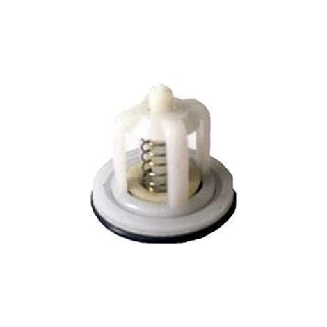 Clapet anti-retour pour GSD 1/2"