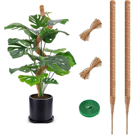 Tuteur Monstera 75 cm Lot de 2, Tuteur Plante en Fibre de Coco Naturelle, Support Solide pour Plantes Grimpantes d’Intérieur, Tuteur Coco Flexible pour Monstera, Pothos et Philodendron (1/5)