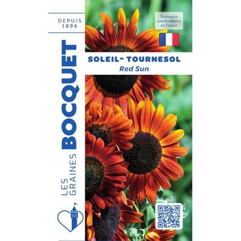 Soleil tournesol Red sun - 1g (1/2)