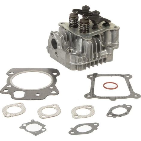 Briggs & Stratton – Culasse adaptable pour motoculteur – Performance optimale – Remplacement pièces moteur – 592175 (1/3)