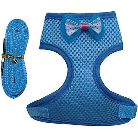 Harnais pour poulet avec laisse assortie, facile à enfiler, promenade et dressage, taille M bleu – 121 caractères (1/4)