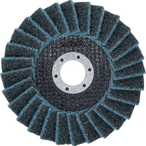 BGS Disque abrasif en éventail Ø 125 mm Granulométrie 240 - 74476 (1/5)