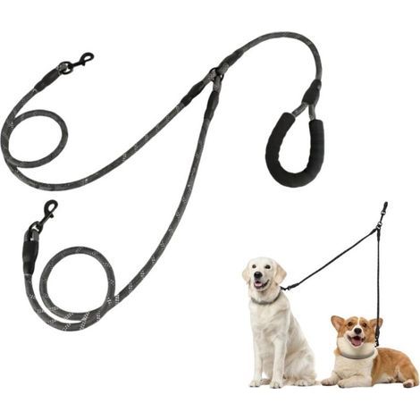 Double laisse pour chien (1/4)