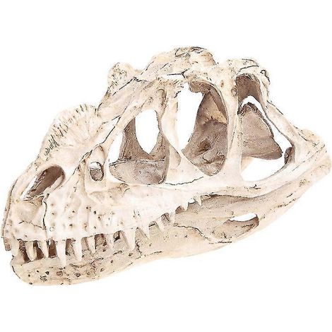 Crâne de dinosaure en résine, squelette fossilisé, modèle pédagogique, décoration d'Halloween pour la maison ou le bureau (1/5)