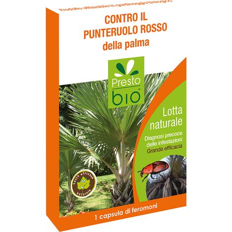PRESTO BIO FEROMONI CONTRO IL PUNTERUOLO ROSSO DELLA PALMA PER TRAPPOLA INSETTI
