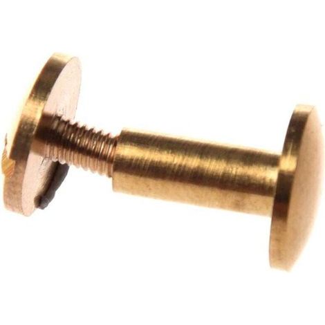 10 rivetti in ottone massiccio per cinture in pelle, 10 mm, con testa bombata e gambo filettato (1/4)