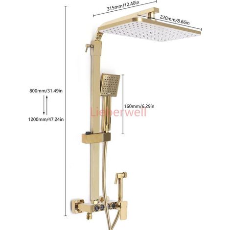 LIEBERWELL Height Adjustable Wall Mount Shower Set, Complete Shower Faucet with Gold Handle, Shower Mixer for Hotels, Bathing Centers, Pools (1/5)