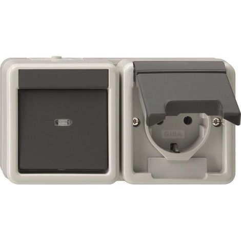 Presa kombi Gira 417730 da superficie IP44