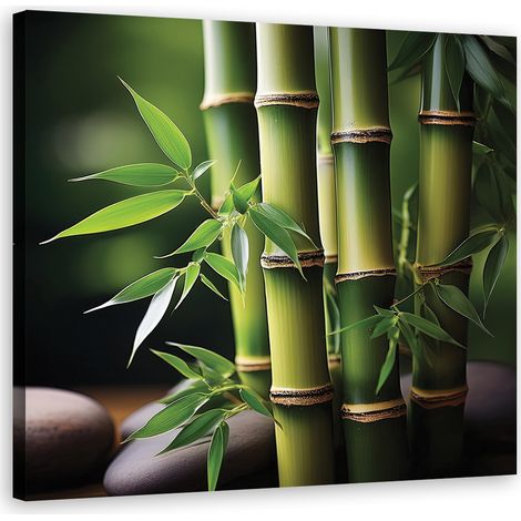 Quadro su tela, BambÃ¹ Zen orientale - 50x50 (1/5)