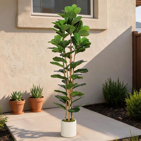 Plante artificielle figuier lyre 180 cm tronc bois massif (1/5)