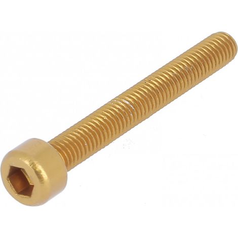 Blister de 5 TCHC M6X12 Alu P60 OA Or DIN 912