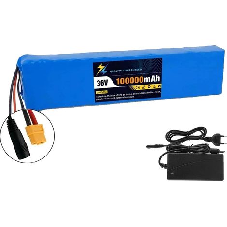 Pack de batterie lithium, capacité 100Ah, protégé par BMS, XT60-DC (1/2)