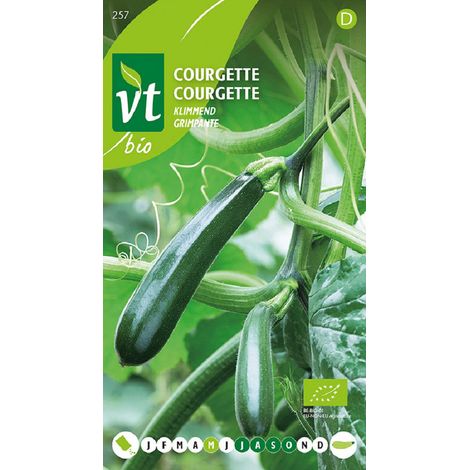 Courgette Grimpante - Ca. 1 gr (Livraison Gratuite)