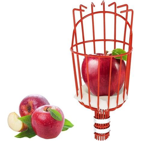 Cueille Fruits métallique avec Griffe, Outil de cueillette de Fruits métal, Outils de Jardinage pour récolte de Pommes, Agrumes, Poires, Pêches (1/5)