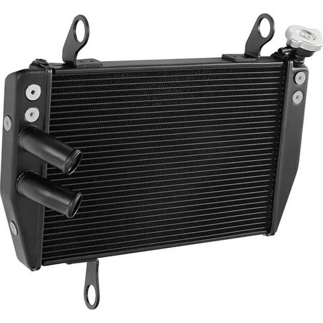 Radiatore d'acqua per Ducati Hypermotard 821 13-15