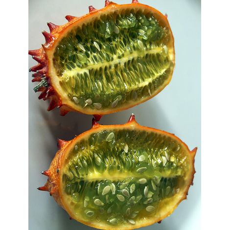 Kiwano le sachet de 20 graines