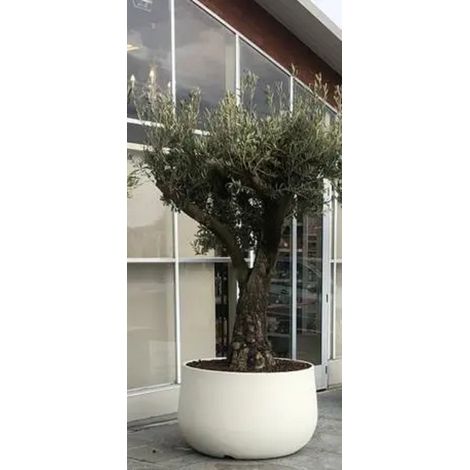 Vaso Urbano ACAYA 84 in Resina per piante di grosse dimensioni Vasar by Telcom - Colore: Bianco Perla
