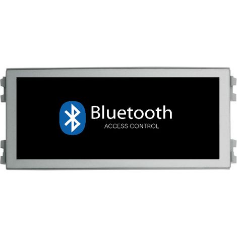 MODULO BLUETOOTH NEARKEY V SKYLINE
