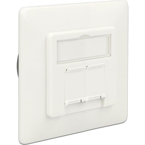 Prise à montage encastré - DeLOCK - 2 Port Cat.6A - RJ-45 X 2 - Blanc - Intérieur