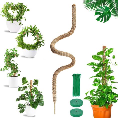 Tuteur Monstera Pliable 160 cm en Fibre de Coco avec Attaches (1/5)