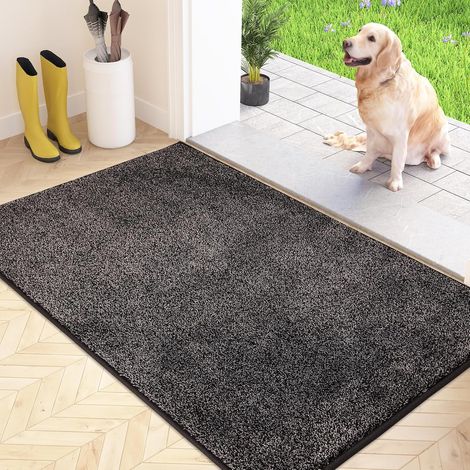 Paillasson Attrape-Poussière, Tapis de Sol Antidérapant Lavable en Machine, Tapis d'Entrée avec Microfibres Douces Absorbantes pour Chien, Entrée, Porte et Couloir (1/5)