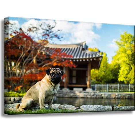 Leinwanddruck „Tier“, Mops, 60 x 40 cm