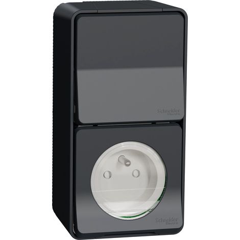 Mureva Styl - Presa di corrente 2P+T+interruttore doppio verticale - superficie - IP55 IK08 - grigio - SCHNEIDER ELECTRIC - MUR36025 (1/2)