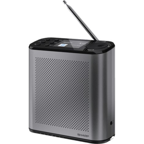 Sharp DR-P530 Osaka Radios