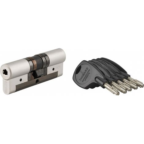 Cilindro europeo Cobra 2+ 43 x 43 mm, nichelato, anti-effrazione, anti-scasso, anti-perforazione, 5 chiavi – THIRARD (1/5)