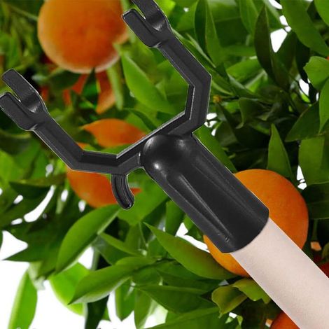 Aststütze für Obstbäume – Wiederverwendbare Metallstützen für den Außenbereich zur Sicherung von schräg stehenden Bäumen, Obstbäumen und Gemüsepflanzen (1/5)