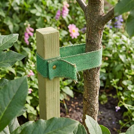 Rouleau de jute 10 x 2500 cm Vert (1/4)