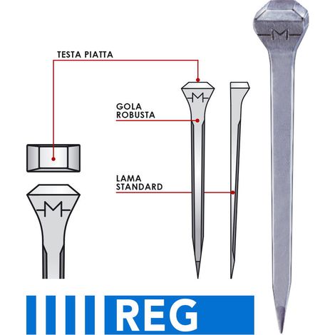 REG5 50 mm - da 250 pz: Chiodi Mondial per cavalli da passeggiata stile americano CITY