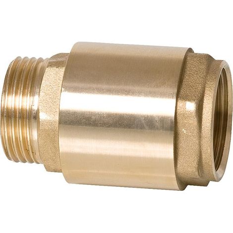 Soupape de retenue filetage mâle vers filetage femelle 1" avec insert métallique joint en viton