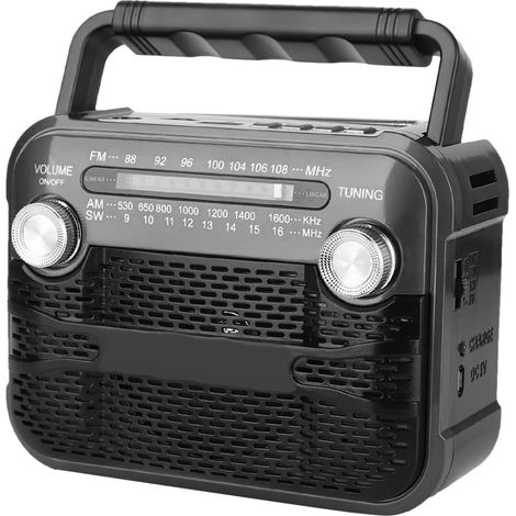 Radio D'extérieur Énergétique Audio Portable avec Lampe de Poche (1/5)