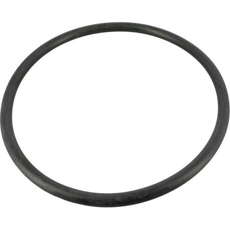 JOINT TORIQUE DE COUVERCLE 6P CE04190006 - Poolfilter Diverse - O-ringar-AquaForge (1/5)
