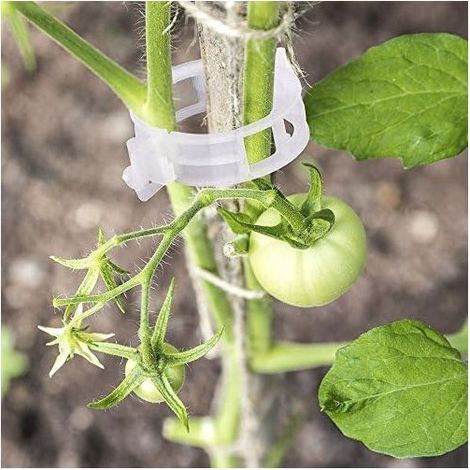 100 Tomatenclips für Pflanzen, Kletterclips, Gartenclips aus Kunststoff für Gemüse, Pflanzen, Tomaten – Weiß (1/5)