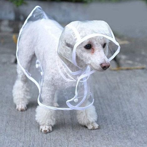 Imperméable pour chien, Veste imperméable, Poncho de pluie pour chien, Manteau de pluie portable, Respirant et léger, Convient pour : Tour de cou 32 cm, Longueur 29 cm, Tour de poitrine 46 cm (1/4)