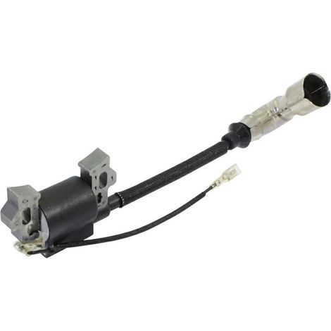 Motor cortacésped bobina electrónica 1P61F 1P65F 1P70F LONCIN 270920215-0001