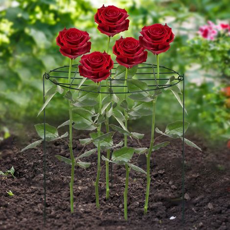 Support en Fer pour Plantes Grillage Jardin Support à Fraises Métal (1/5)