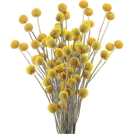 30 fleurs séchées, vraies fleurs naturelles, fleurs artificielles (1/4)