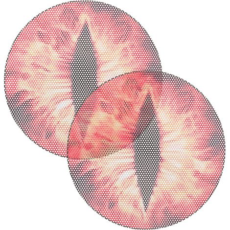und sonnenlichtbeständige Frontaufkleber im Augen Design 2er