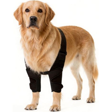 Coudières pour pattes avant avec support d'épaules - Équipement de protection ajustable pour animaux de compagnie (tour de poitrine 37-55 cm) (1/3)