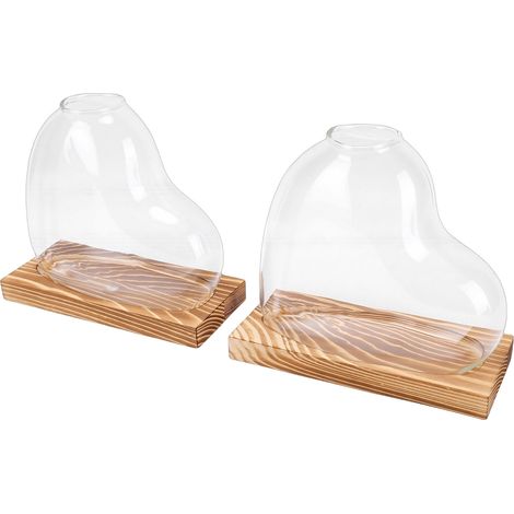Lot de 2 vases de propagation en verre en forme de cœur, pour la culture de petites plantes hydroponiques. Décoration pour la maison ou le bureau, couleur marron. (1/5)