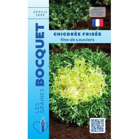 Chicorée frisée fine de Louviers - 4g