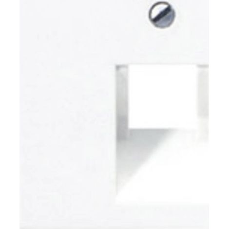 Jung simple Cache Cache blanc-alpin A569-1PLUAWW 1 pc(s) (1/2)